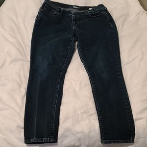 Curvy Skinny Jeans